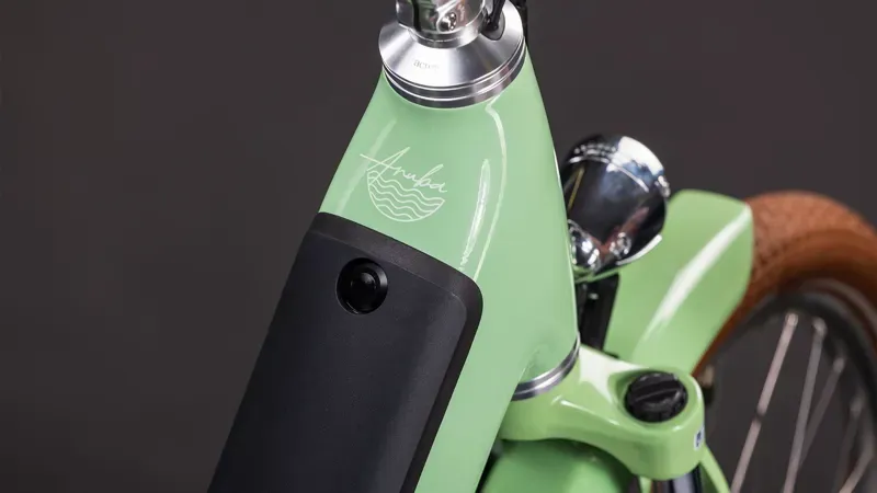 Cube Aruba Hybrid 600 eMountain Bike in Cactus/Brown-2