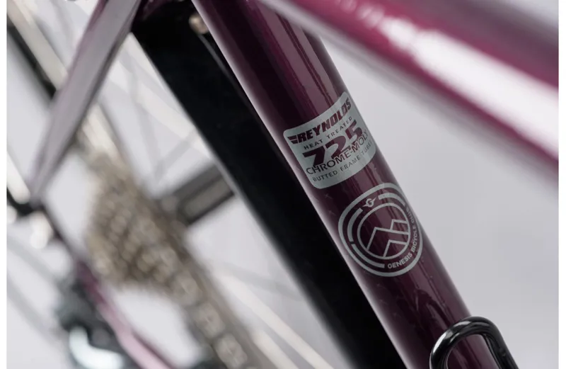 2021 Tour De Fer 30 Steel Touring Bike in Purple-6