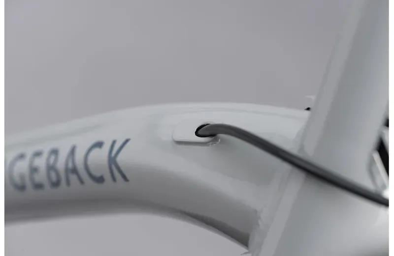 2021 Ridgeback Element EQ Hybrid Bike in Silver-2