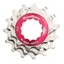 Sunrace and Sturmey Archer 11 Speed Cassette Service Kit in Metallic